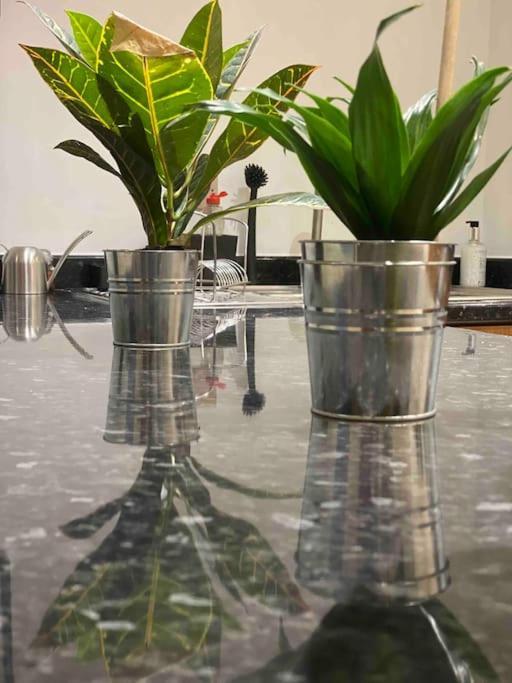 Retreat, Stones Throw Away From Apartment Margate